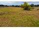 Open pasture with mature trees and grassy area at 22711 State Road 44, Eustis, FL 32736