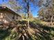 Side view of one-story building with tan cinder block exterior, various trees, and bright sunlight streaming through the tree branches at 6301 State Road 60 E, Bartow, FL 33830