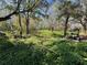 A partially overgrown lot with various trees, undergrowth, and bright sunlight streaming through the tree branches at 6301 State Road 60 E, Bartow, FL 33830