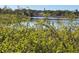 Scenic view of a lake or pond surrounded by lush greenery and trees on a clear day at 6301 State Road 60 E, Bartow, FL 33830