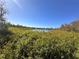 Overgrown vegetation near a body of water at 6301 State Road 60 E, Bartow, FL 33830