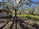 Backyard with mature trees and overgrown grass at 6301 State Road 60 E, Bartow, FL 33830