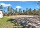 Large, partially cleared backyard with lush green grass and mature trees at 8827 Sw 137Th Ct, Dunnellon, FL 34432