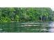 Beautiful river landscape with lush trees and wildlife creates a serene, natural setting at 8827 Sw 137Th Ct, Dunnellon, FL 34432