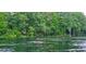 Scenic river view, showcasing surrounding trees, and a relaxed bird perched on a rock at 8827 Sw 137Th Ct, Dunnellon, FL 34432
