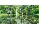 Clear waterway with lush greenery along the banks, reflecting the vibrant natural beauty of the surroundings at 8827 Sw 137Th Ct, Dunnellon, FL 34432