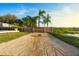 Well-maintained backyard with tropical landscaping features mature palm trees and new fence at 1340 Susannah Blvd, Orlando, FL 32803