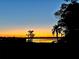 Striking sunset view over the lake with palm tree silhouettes at 1340 Susannah Blvd, Orlando, FL 32803