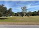 Large lot with mature trees, offering ample space and natural beauty at 31029 Nocatee Trl, Sorrento, FL 32776
