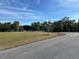 Expansive lot with mature trees, perfect for building or recreation at 31029 Nocatee Trl, Sorrento, FL 32776