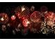 A vibrant display of fireworks illuminates the night sky with brilliant bursts of red, gold, and white at 12285 Joshua Tree Trl, Windermere, FL 34786