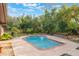 Private backyard pool surrounded by lush landscaping, ideal for summer fun and relaxation at 1098 Park Dr, Casselberry, FL 32707