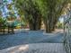 Expansive driveway framed by bamboo offering privacy and leading to a unique home at 6320 Rocky Point Rd, Lake Wales, FL 33898