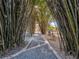 Scenic view of a bamboo-lined driveway and stone pathway creating a tranquil entrance at 6320 Rocky Point Rd, Lake Wales, FL 33898