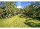 Expansive, lush backyard featuring healthy green grass and tropical landscaping at 7200 Grace Rd, Orlando, FL 32819