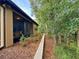 View of the backyard with screened-in porch, landscaping, and trees providing a private outdoor space at 513 San Sebastian Ct, Davenport, FL 33837