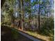 Scenic backyard view showcasing lush greenery and trees overlooking a serene lake at 513 San Sebastian Ct, Davenport, FL 33837