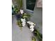 Covered patio with tropical orchids and potted plants at 3811 Island Green Way, Orlando, FL 32824