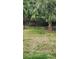A fenced backyard with a palm tree and birdhouse offers a private and peaceful outdoor space at 1445 Creekside Cir, Winter Springs, FL 32708