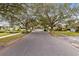 Tree-lined street with charming homes and well-maintained lawns at 1116 Fairway Dr, Winter Park, FL 32792