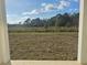 A view from the back porch of the spacious backyard at 2059 Town Pasture Dr, Eustis, FL 32726