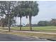 View of palm trees and a golf course at 501 Heritage Trail St, Kissimmee, FL 34759