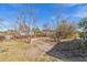 A grassy backyard with small trees and shrubs, with a glimpse of the neighborhood at 14025 Royal Fern Way, Astatula, FL 34705