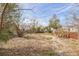 A grassy backyard with small trees and shrubs, with a glimpse of the neighborhood at 14025 Royal Fern Way, Astatula, FL 34705