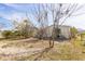 A grassy backyard with small trees and shrubs, with a glimpse of the neighborhood at 14025 Royal Fern Way, Astatula, FL 34705