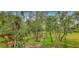 Wooded backyard at 6408 Shoreline Ct, St Cloud, FL 34771
