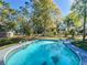 A backyard pool surrounded by lush landscaping and mature trees at 4317 Ne 12Th St, Ocala, FL 34470