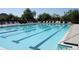 Large swimming pool with lap lanes and plenty of lounge chairs for relaxing by the water at 5342 Horton Ln, Orlando, FL 32814