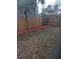 Fenced backyard area featuring mulch, grass and palm tree as viewed from the screened lanai at 4530 Brook Hollow Cir, Winter Springs, FL 32708