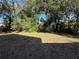 A spacious, grassy backyard with mature trees offers plenty of shade and privacy at 911 Pine Ave, Mount Dora, FL 32757