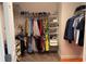 Closet with shelves and hanging rods at 9271 Patrimonio Loop, Windermere, FL 34786
