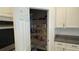 Well-organized pantry with ample shelving for storage at 9271 Patrimonio Loop, Windermere, FL 34786