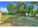Large backyard with mature trees and open green space at 2341 Hadley St, Deltona, FL 32738