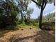 Lush lot with a house to the right, featuring mature trees and foliage at 19942 Se 155Th Pl, Umatilla, FL 32784