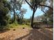 Lush lot with a house to the right, featuring mature trees and foliage at 19942 Se 155Th Pl, Umatilla, FL 32784