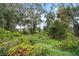 View of back of property with overgrown greenery at 2806 Balforn Tower Way, Winter Garden, FL 34787