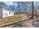 Lush backyard with serene backdrop, promising peaceful outdoor experiences and connection with nature at 406 Nw Narcissus Rd, Dunnellon, FL 34431