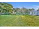 Spacious backyard with green grass and trees at 842 E Church Ave, Longwood, FL 32750