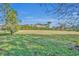 Open green space with mature trees at 14157 Creekbed Cir, Winter Garden, FL 34787