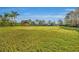 Large grassy park with covered pavilion at 14157 Creekbed Cir, Winter Garden, FL 34787
