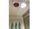 Ceiling featuring fan and lighting fixtures at 5138 Andrea Blvd, Orlando, FL 32807