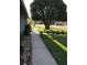 Well-maintained front yard with a sidewalk, vibrant greenery, and mature trees providing shade at 5138 Andrea Blvd, Orlando, FL 32807
