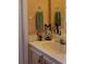 Clean bathroom with a single sink vanity, decorative accents and a mirror at 9130 Dollanger Ct, Orlando, FL 32819