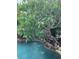Relaxing pool with lush landscaping and water features at 9130 Dollanger Ct, Orlando, FL 32819