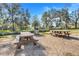 Community picnic area with tables, grill, and shade trees at 1918 Arden Oaks Dr, Ocoee, FL 34761
