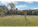 Large grassy backyard with mature trees and landscaping at 5372 Sw 109Th Place Rd, Ocala, FL 34476